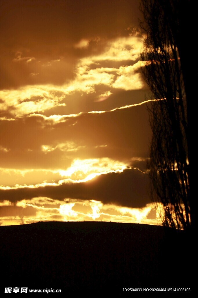 夕阳下的天空与树木剪影