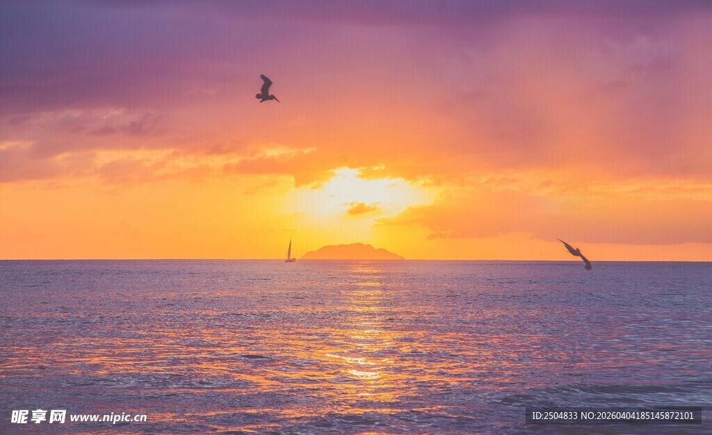 海上日落美景 飞鸟相伴