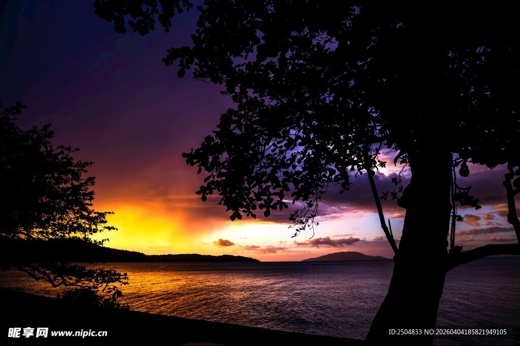 黄昏湖畔树影的美丽景致