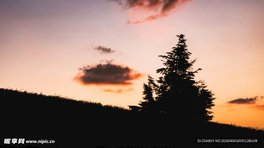 夕阳下的孤树剪影