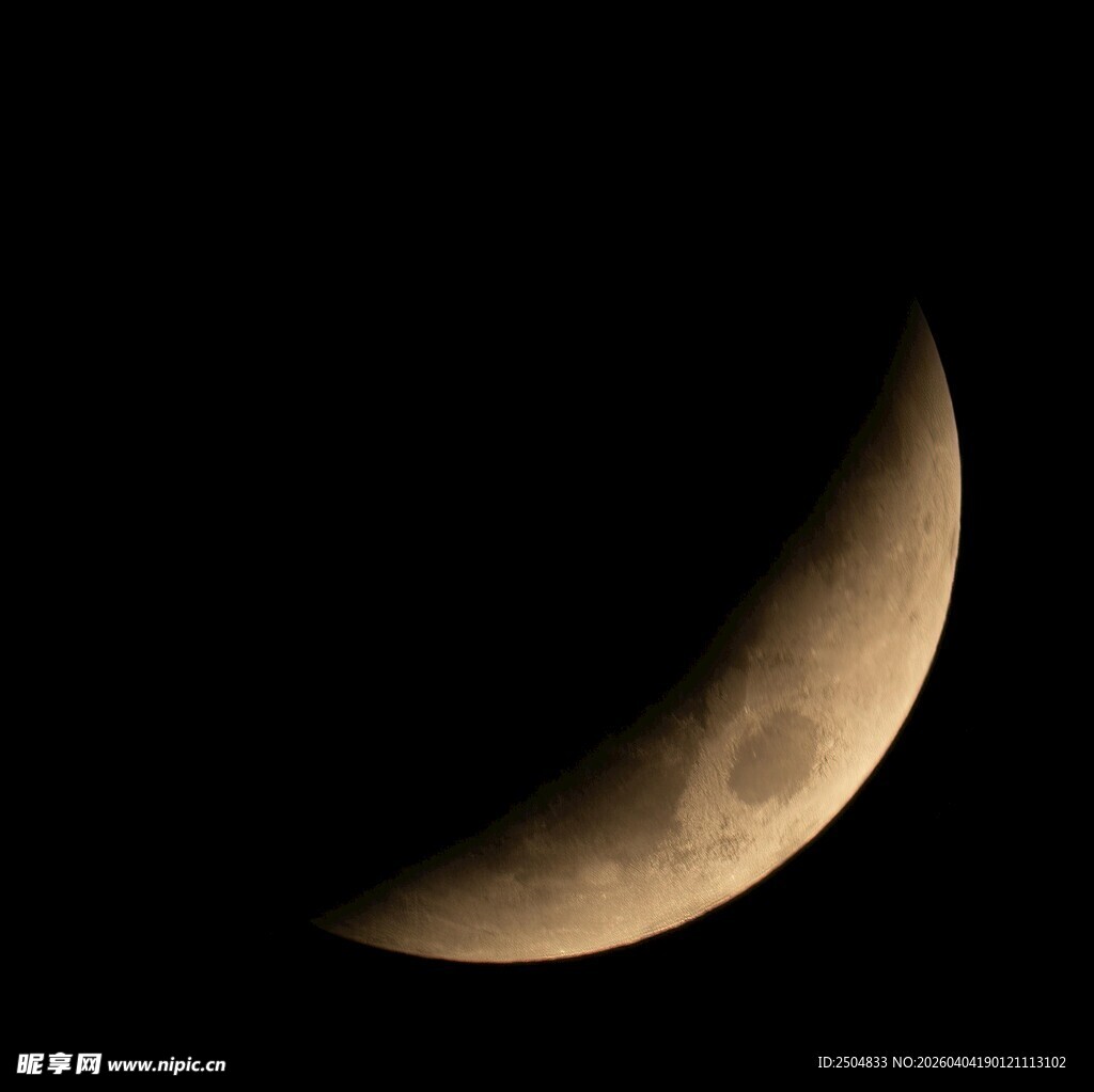 弯弯新月悬于夜空