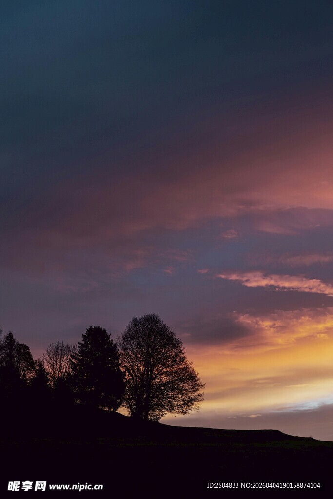 黄昏下的树木与绚丽天空