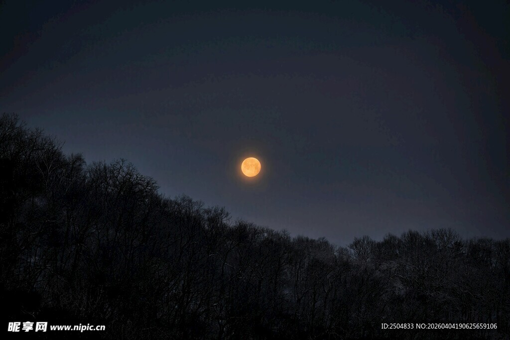 夜幕中升起的金黄圆月