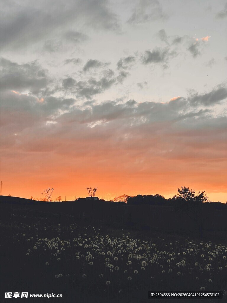 日落时分的田野景色
