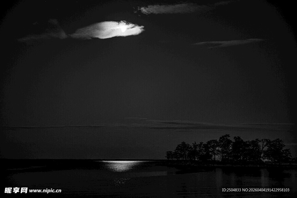 月夜湖景 静谧自然之美