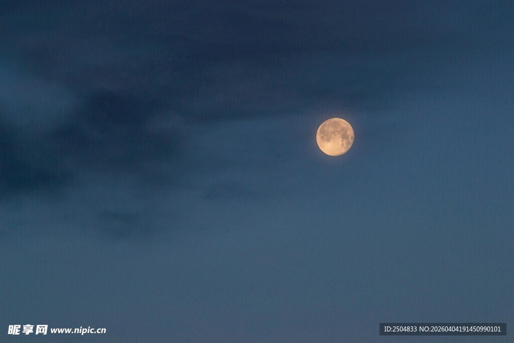 夜空下的明亮圆月