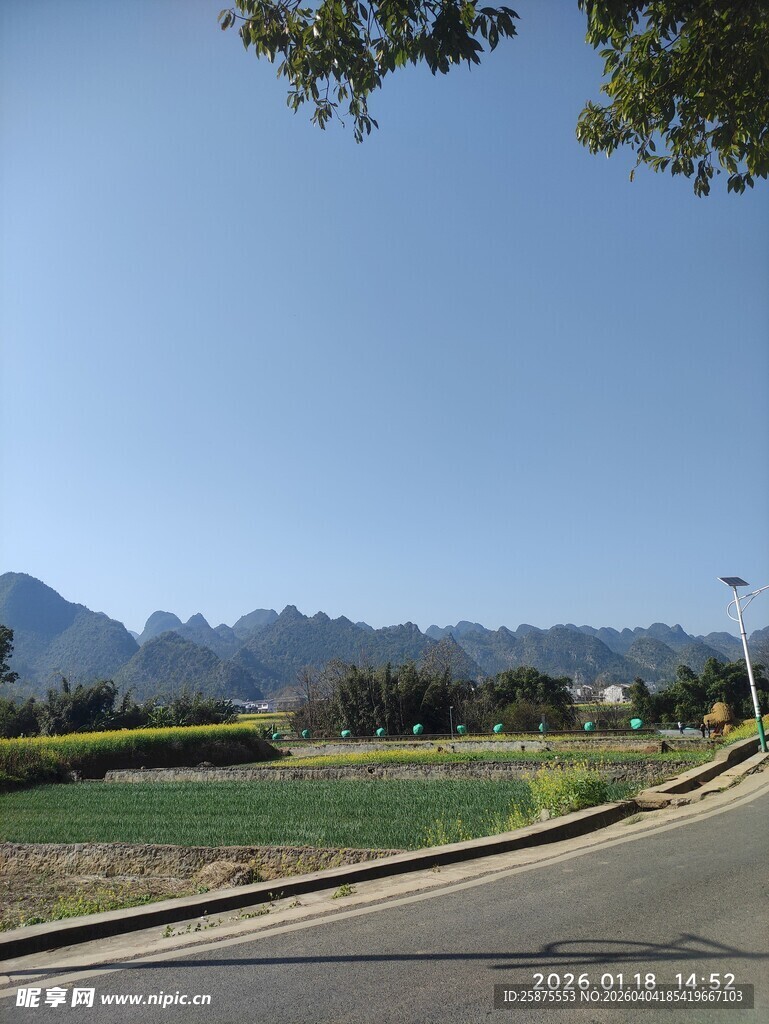 乡村公路旁的开阔风景