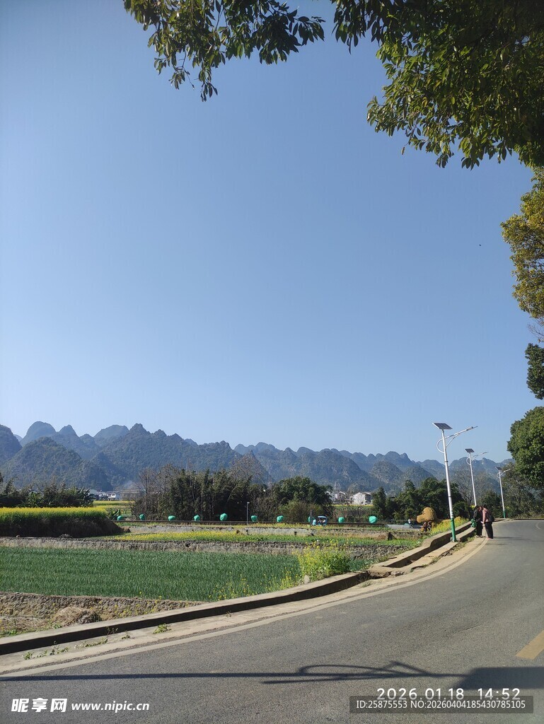 乡村公路旁的开阔美景