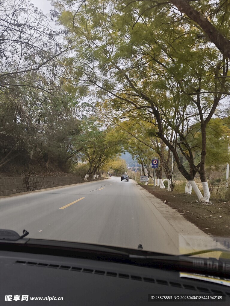 车内视角的秋日道路风景