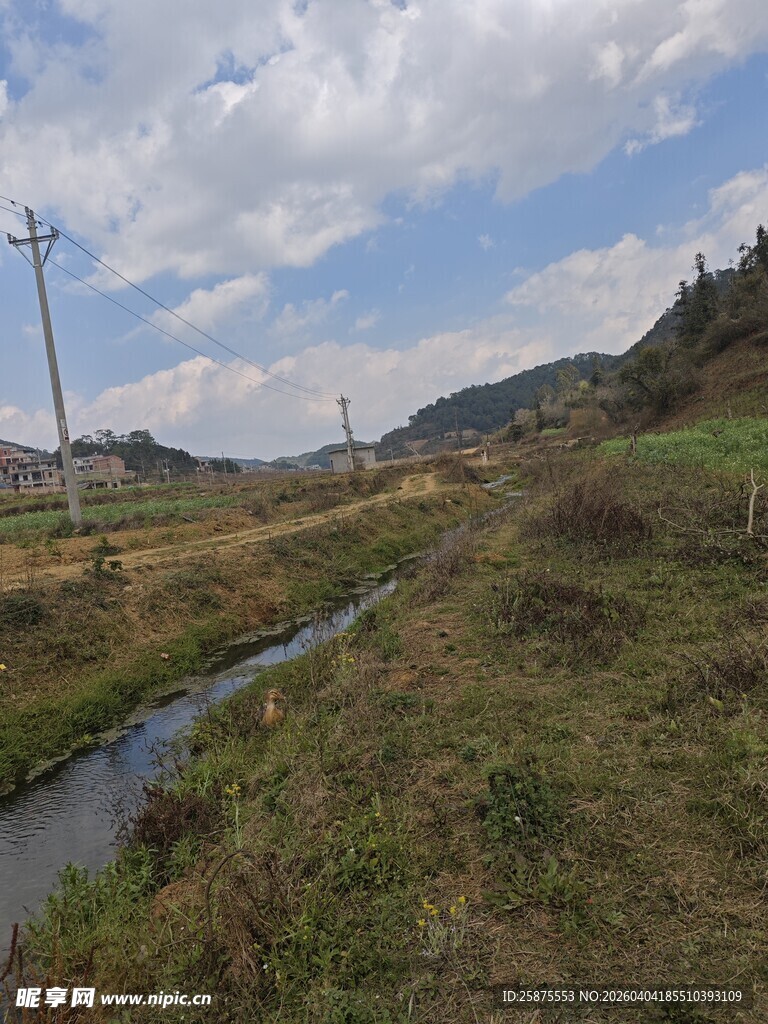 山间小溪旁的自然风景
