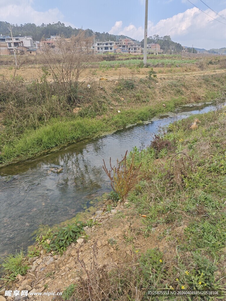 乡村小河畔的自然景致