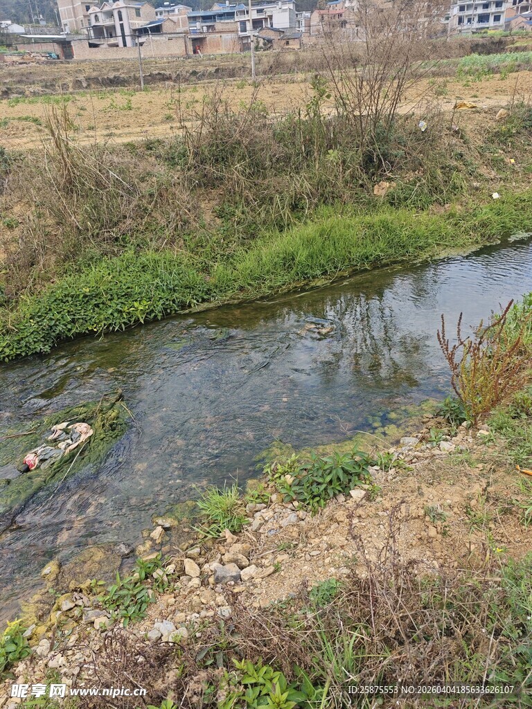 乡村小溪畔的自然景致