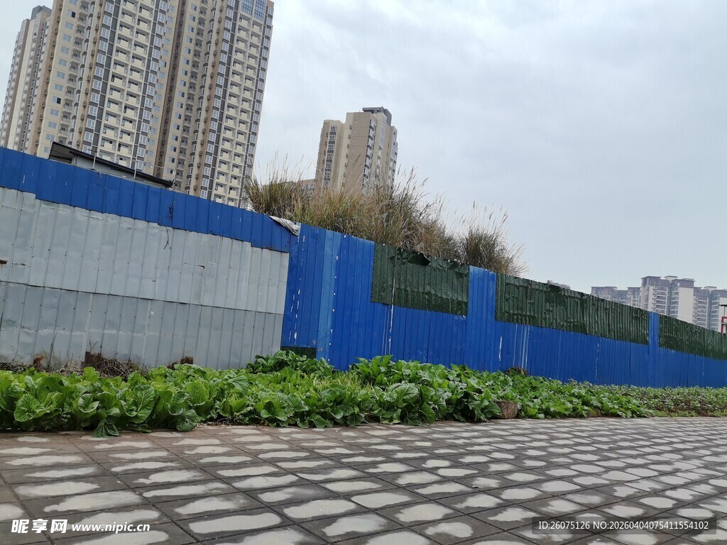 城市施工围挡与绿植景观