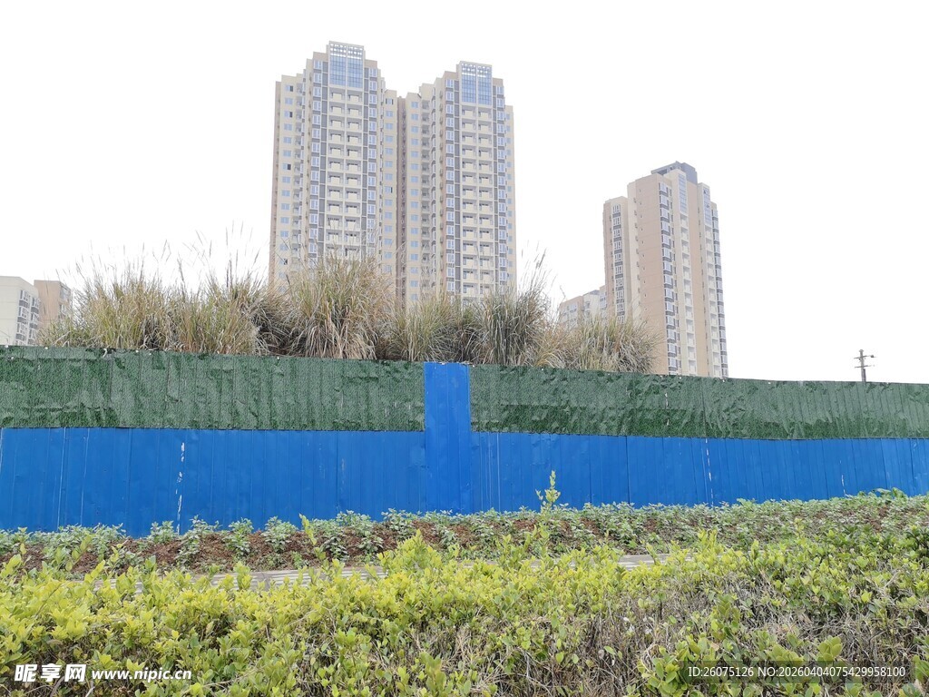 城市边的绿植与高楼景观