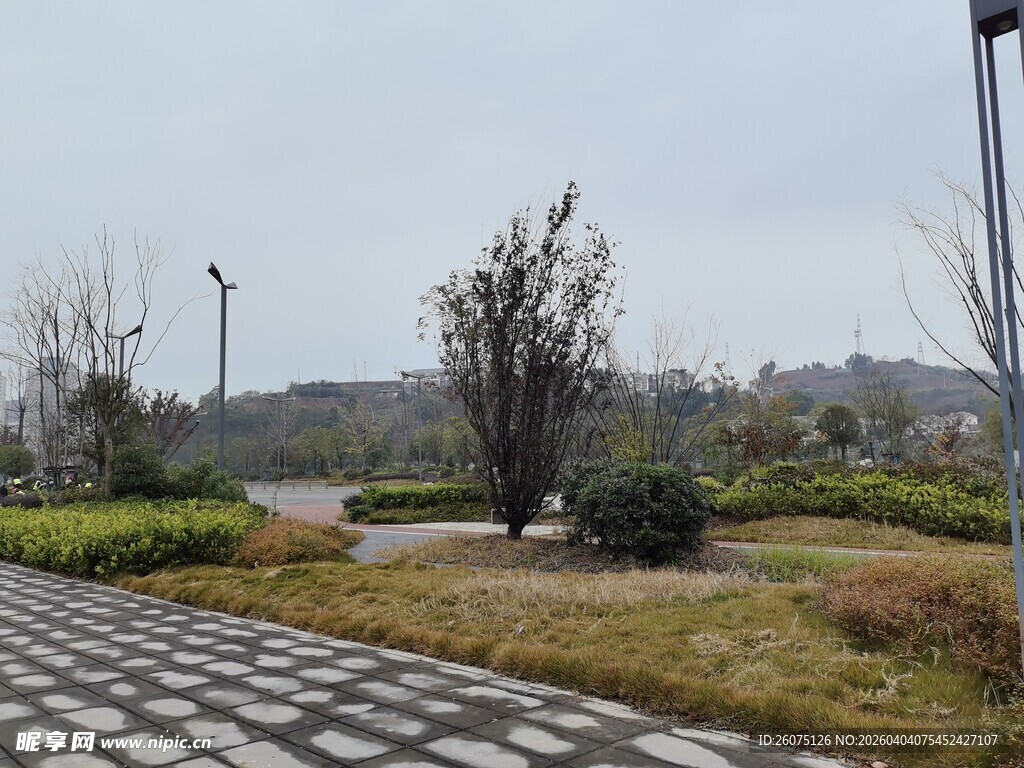 城市公园中的宁静小路