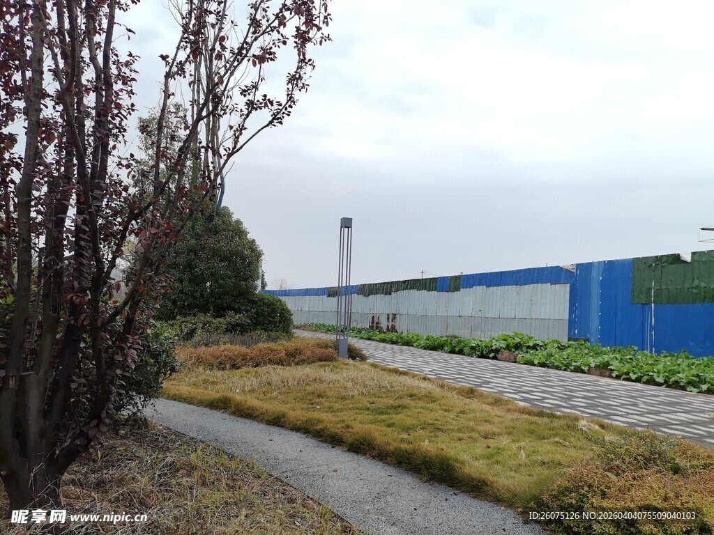 乡间小路旁的绿植与建筑