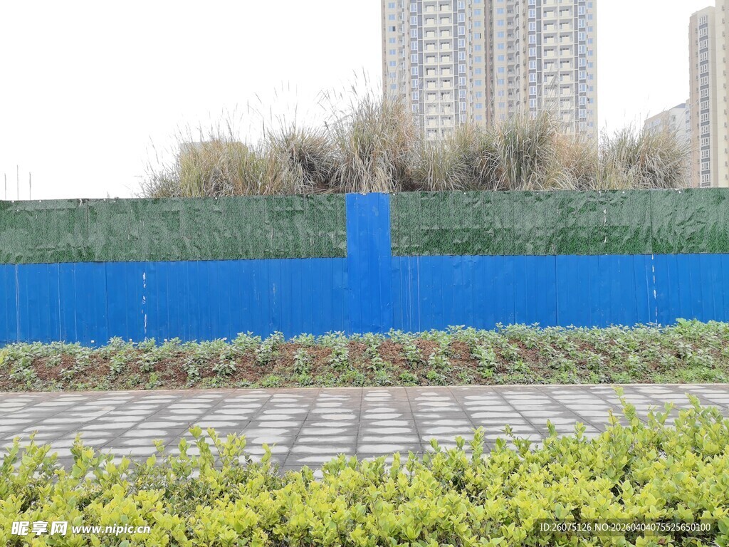 城市围挡旁的绿植景观