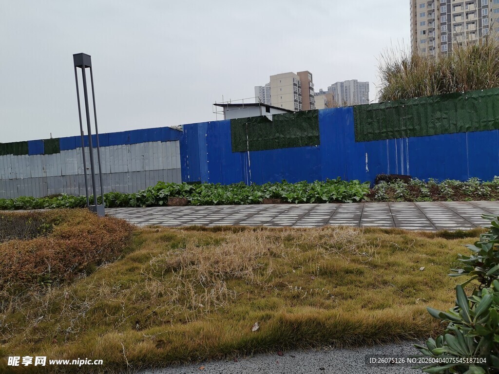 工地旁的绿植景观