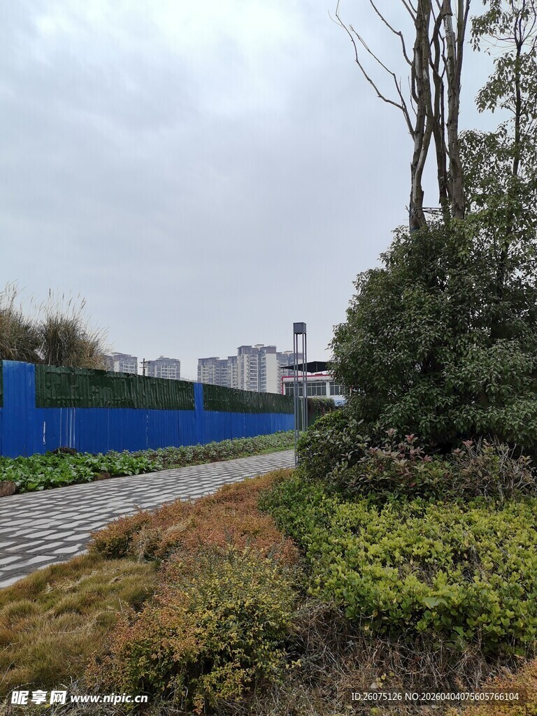 户外绿植与蓝色围挡景观