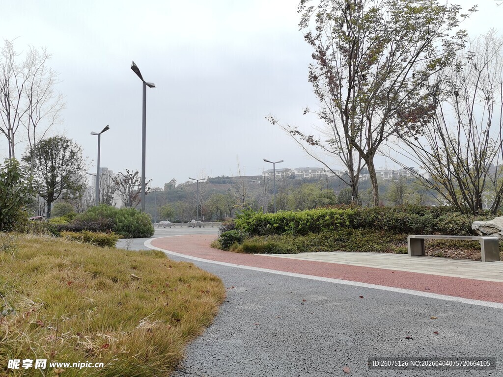 城市公园中的宁静步道