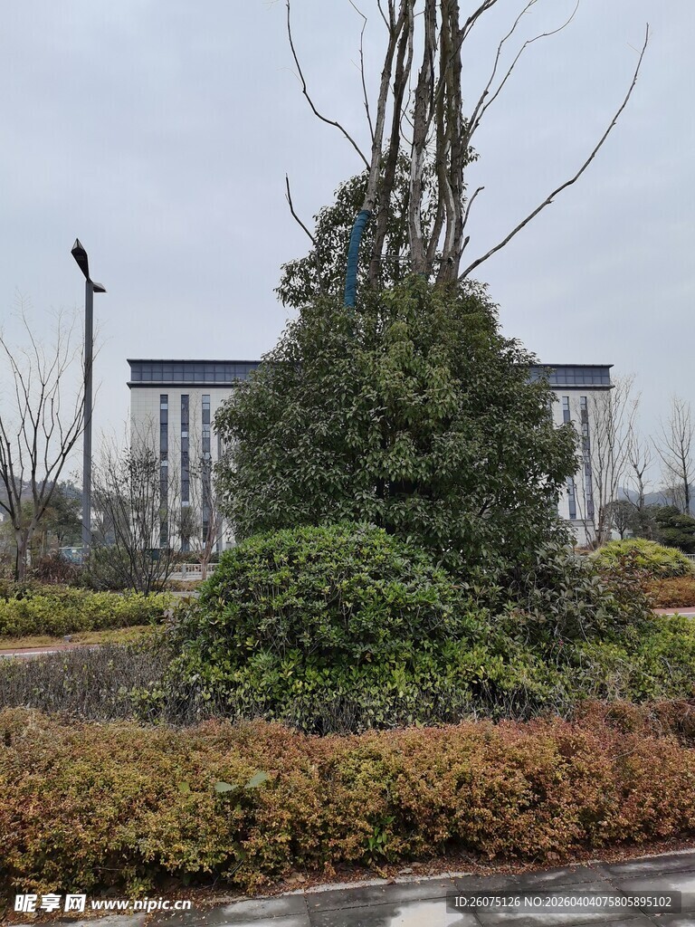 户外绿植景观