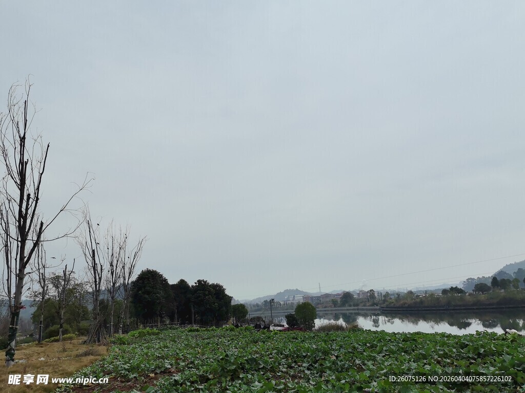 田野风光冬日农场景象