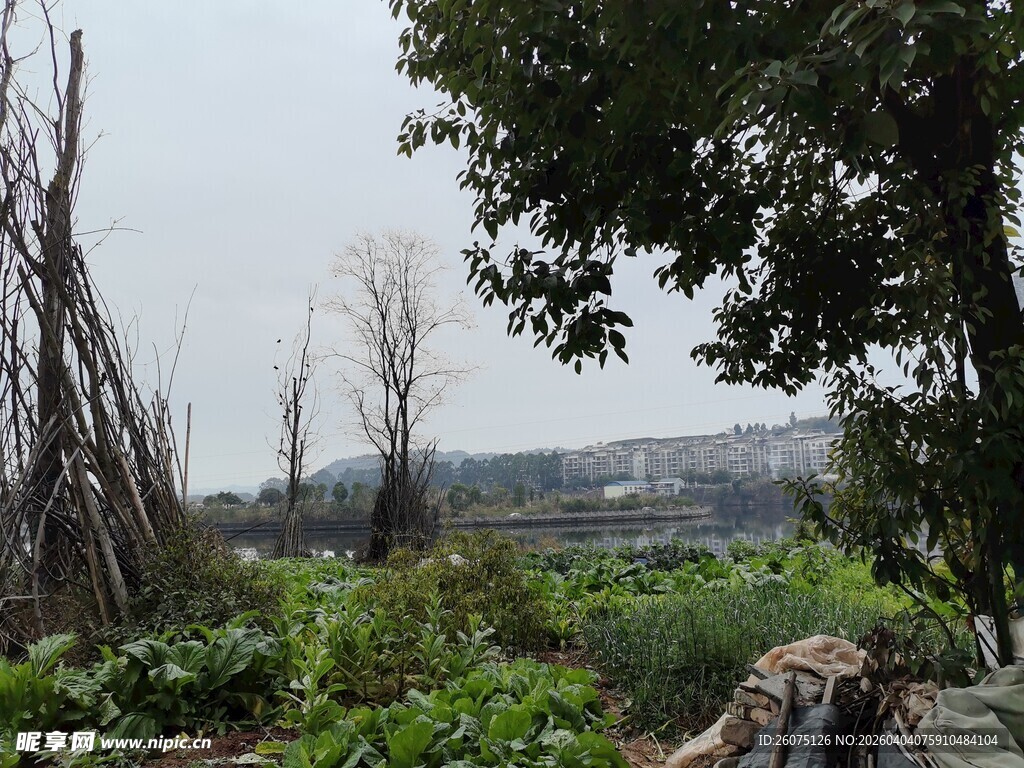乡村田野自然景致