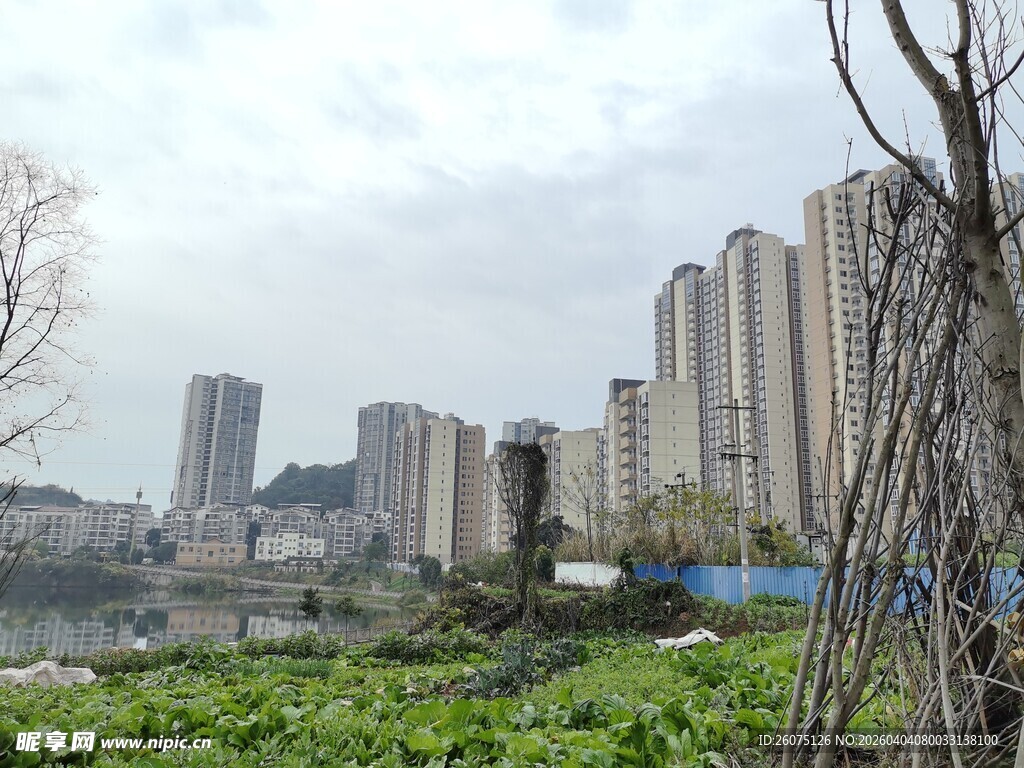 城市边缘的绿植与高楼