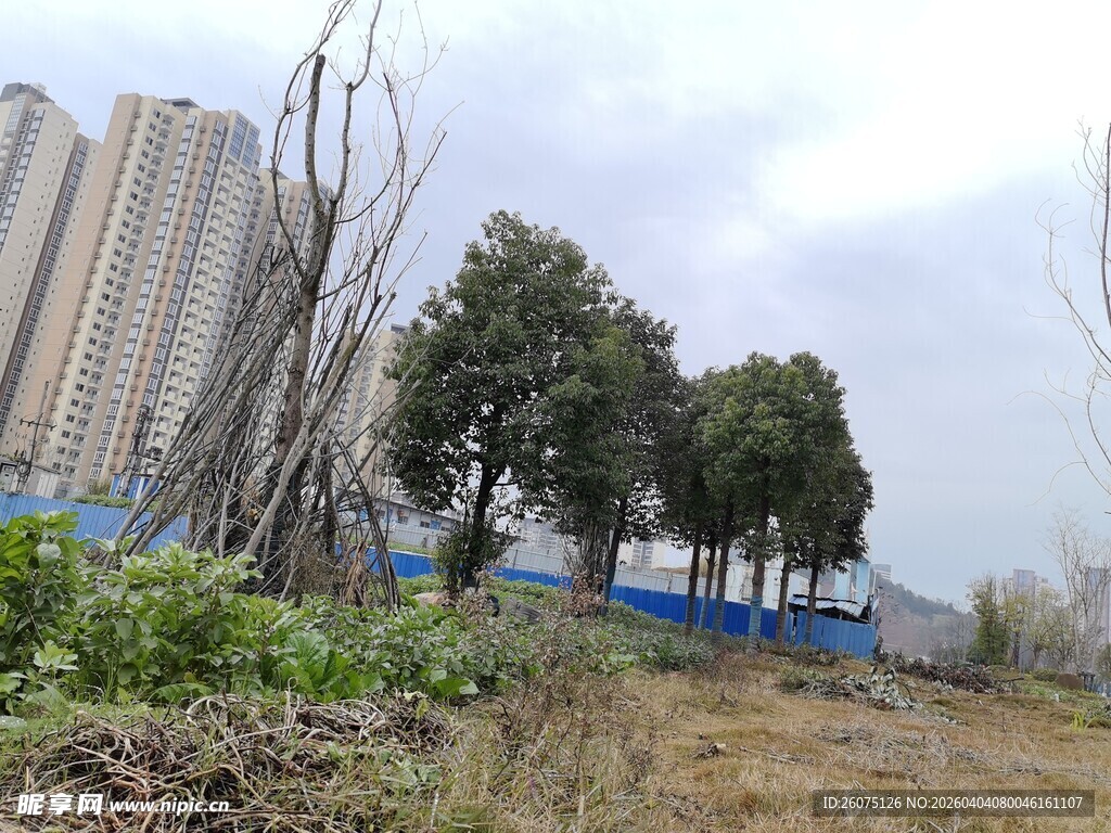 城郊荒地与远处高楼景象