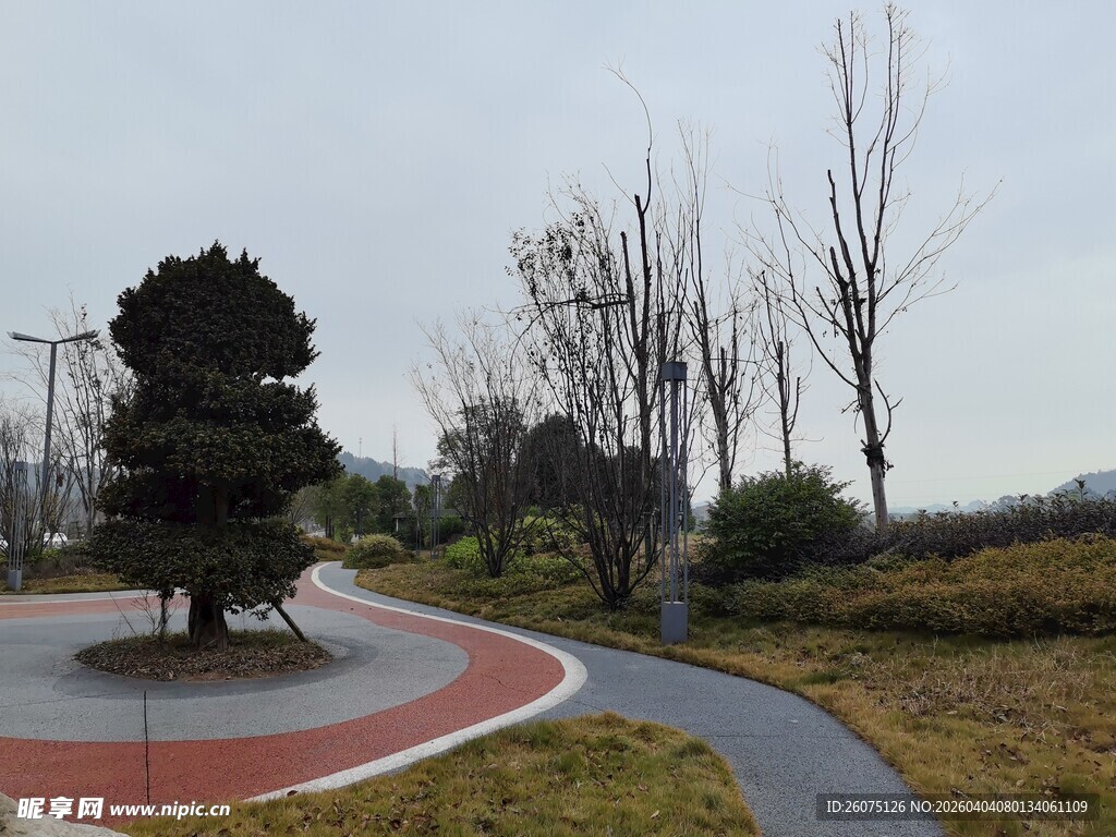 公园中的弯曲小径与绿植