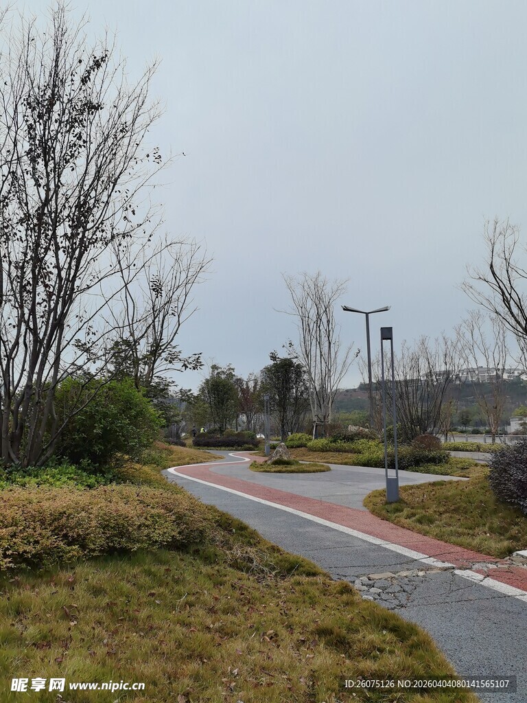 雨后郊野公园的蜿蜒小路