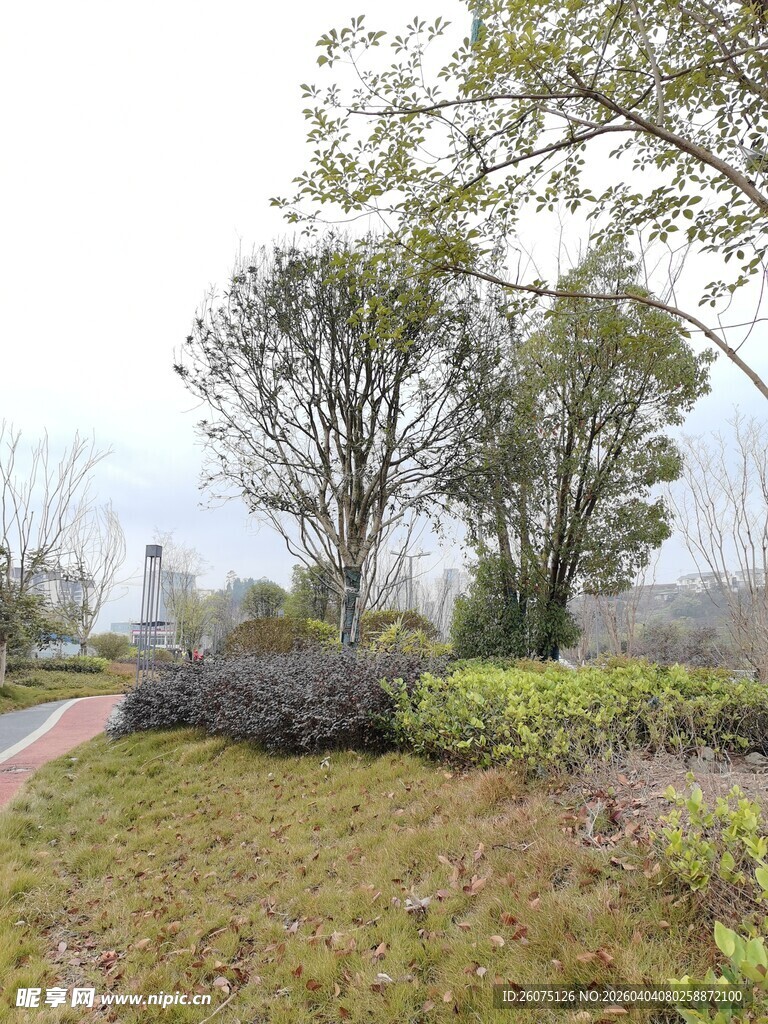 户外绿植景观
