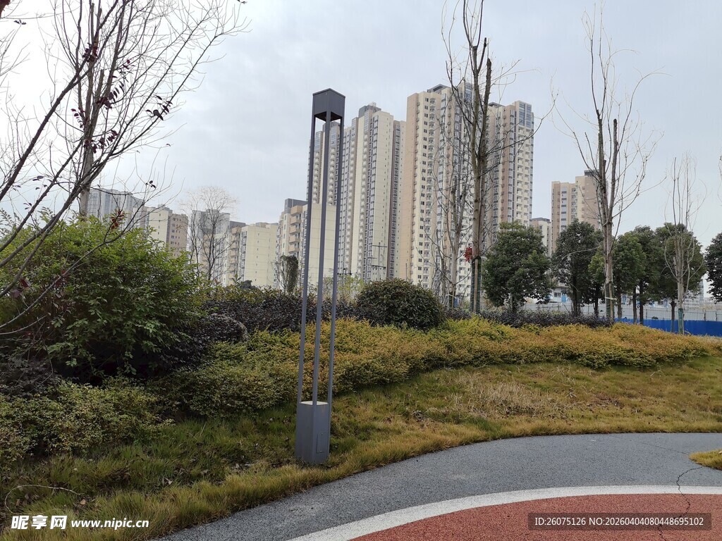 城市公园中的绿植与建筑