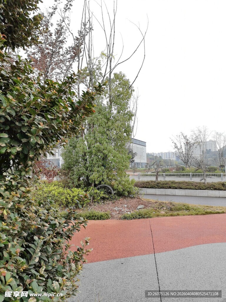 城市绿植环绕的步道景观