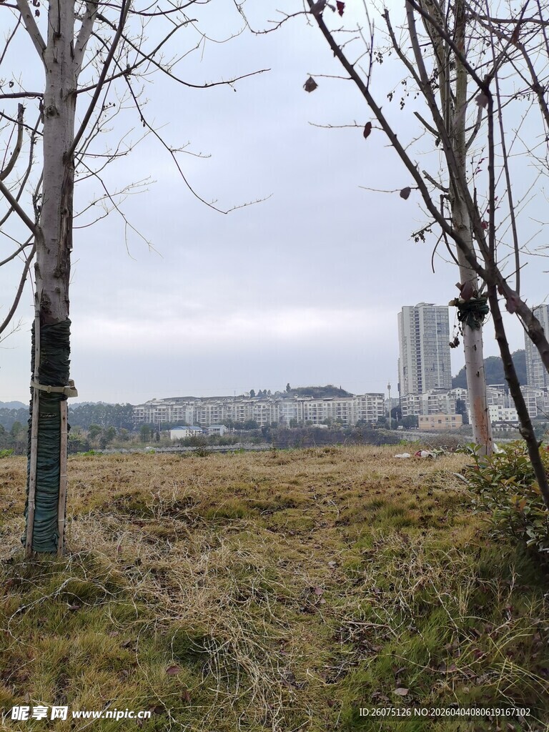 城郊荒野景象