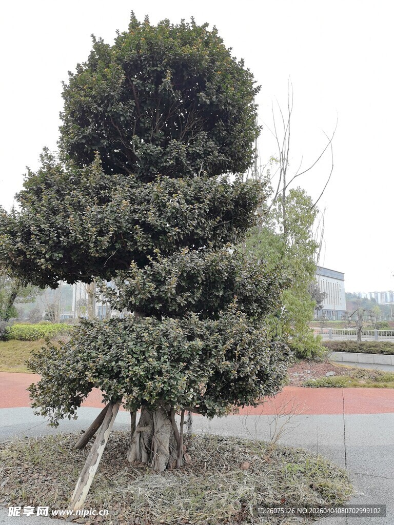 三层造型绿植景观