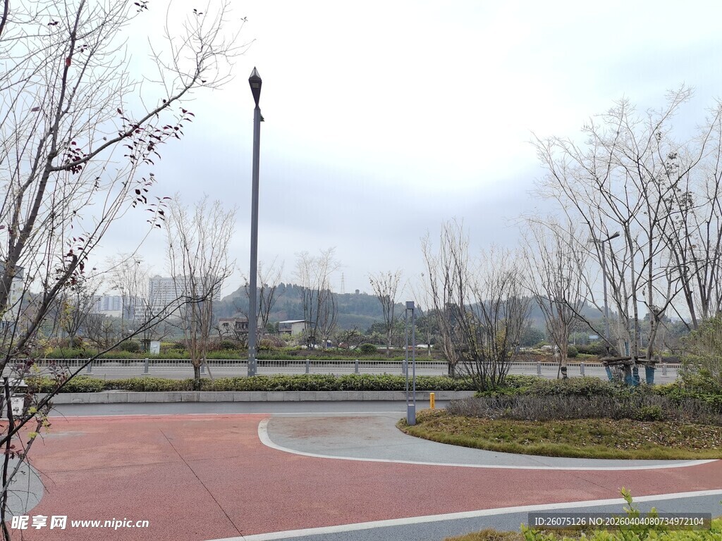 城市公园中的开阔休闲场地