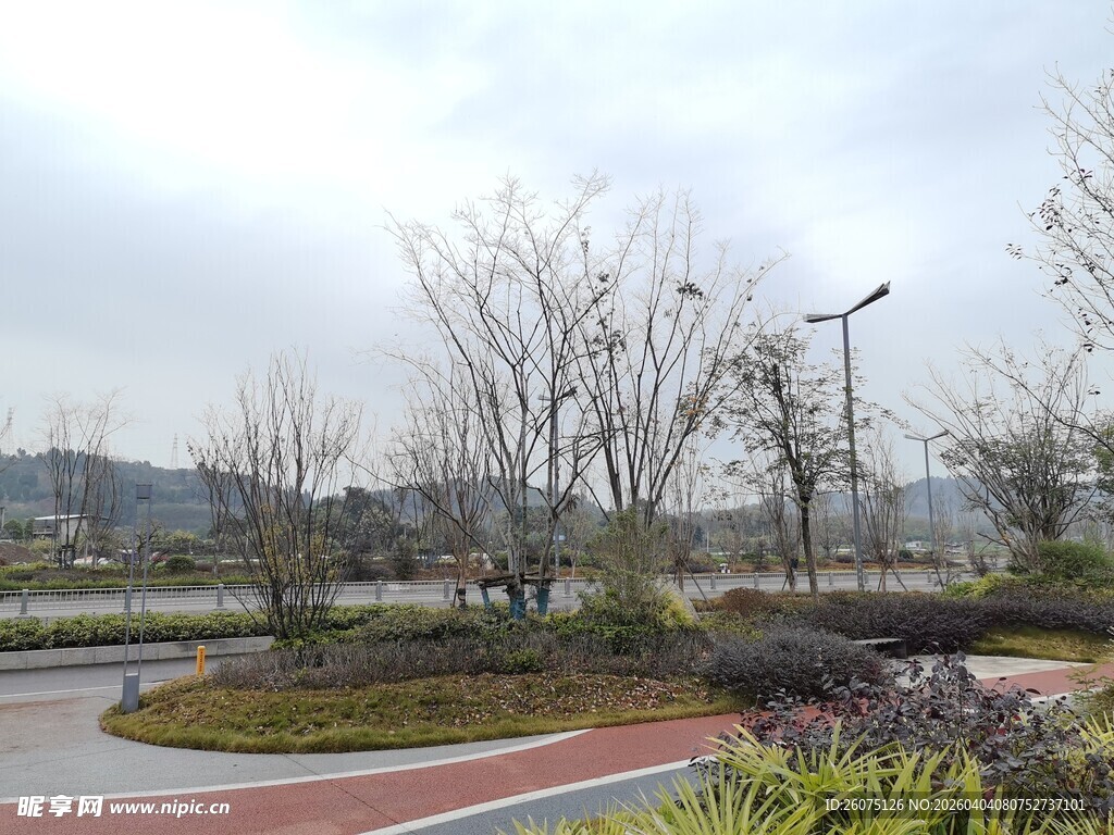 城市公园景观道路场景