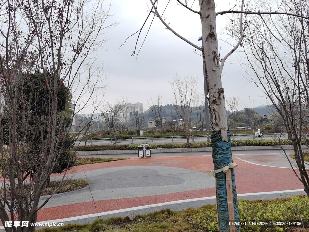 公园冬日空旷运动场地景观
