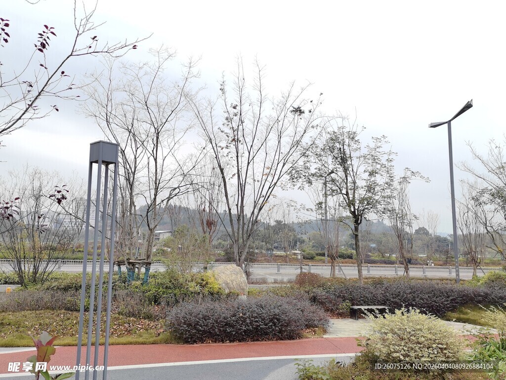 城市公园冬日景观