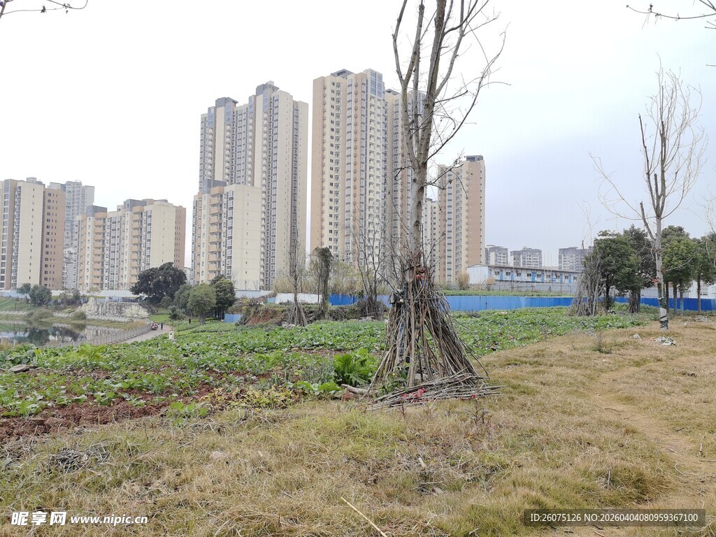 城郊高楼旁的荒野景象