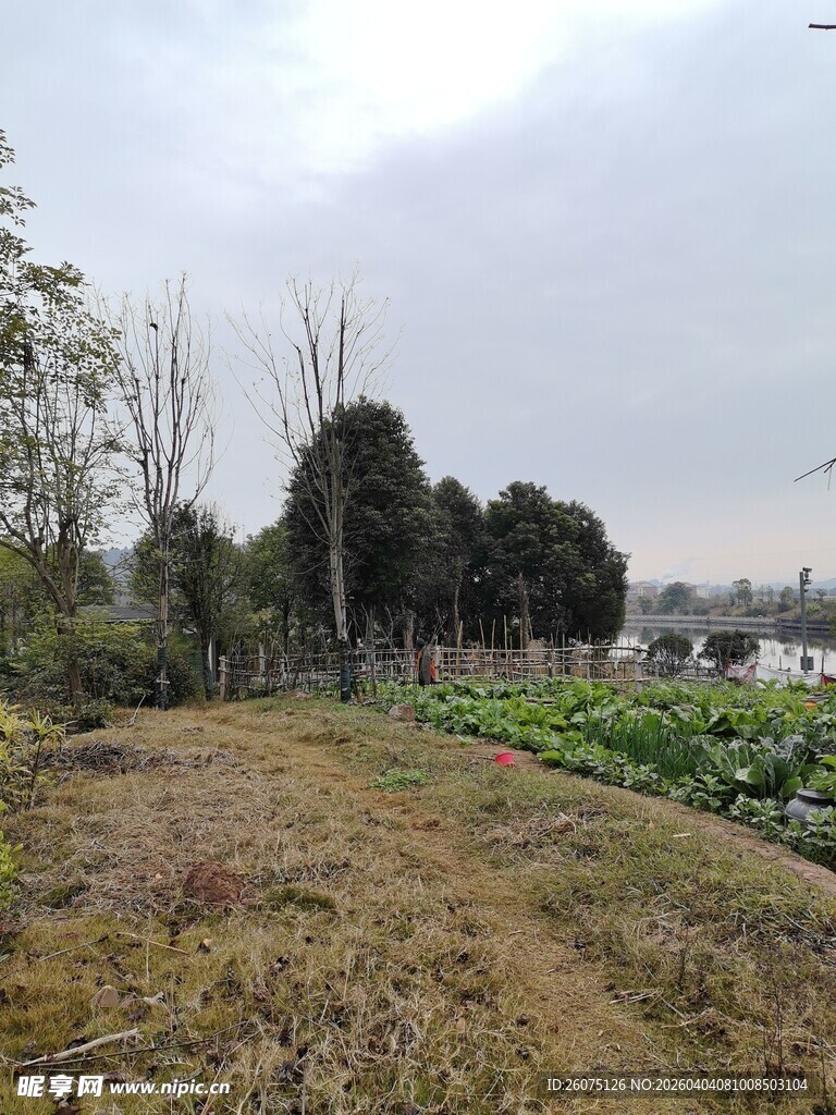 田野风光宁静自然景致