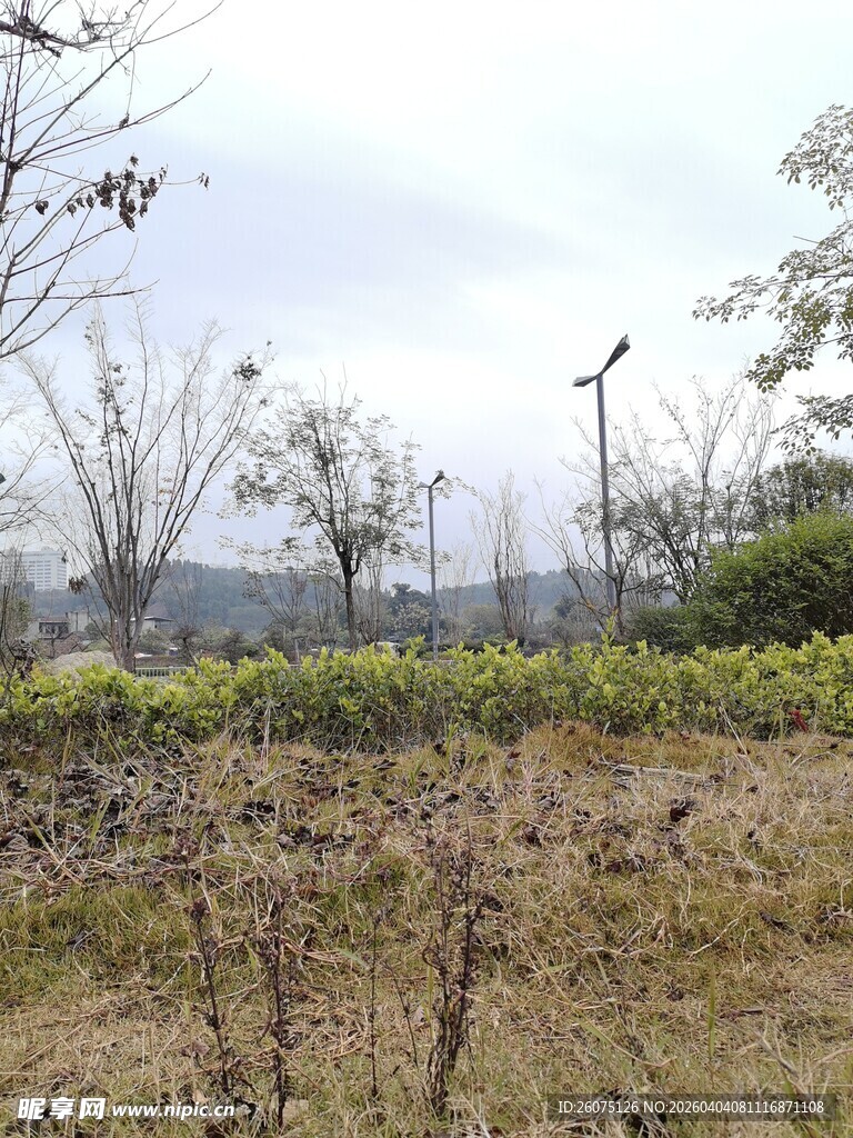 郊外荒地景象