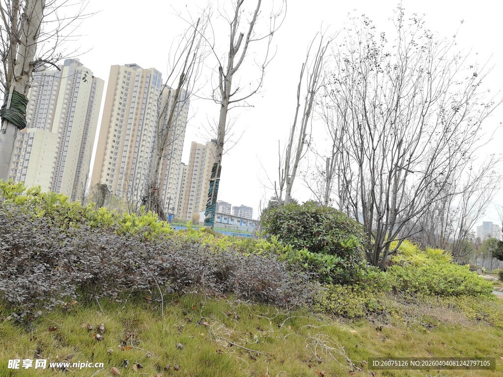 城郊草地与高楼景观