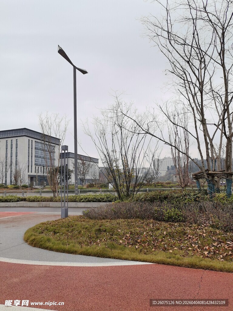 城市公园中的弯曲步道景观