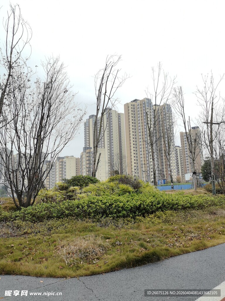 城市路边的绿植与建筑景观