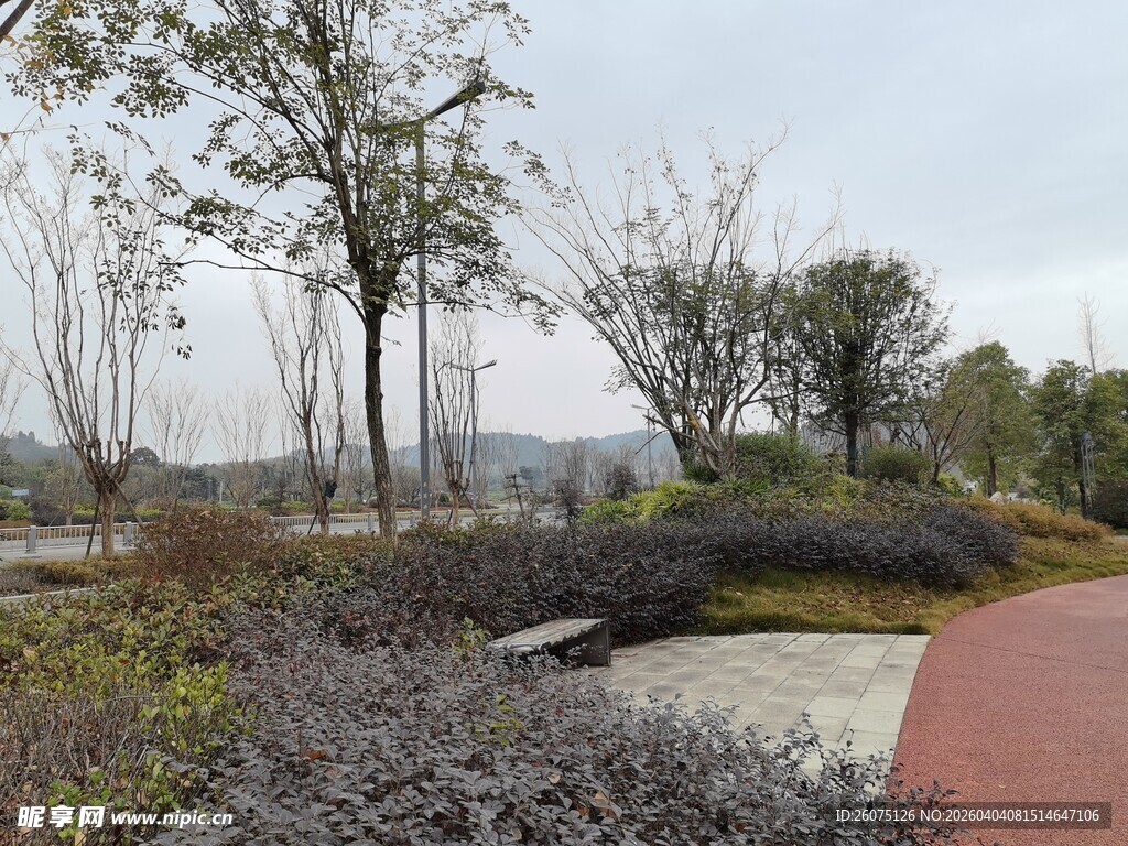 城市公园景观步道景象