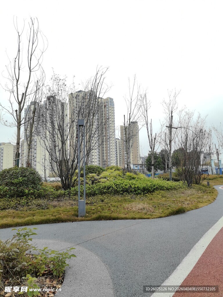 城市道路旁的绿植与建筑