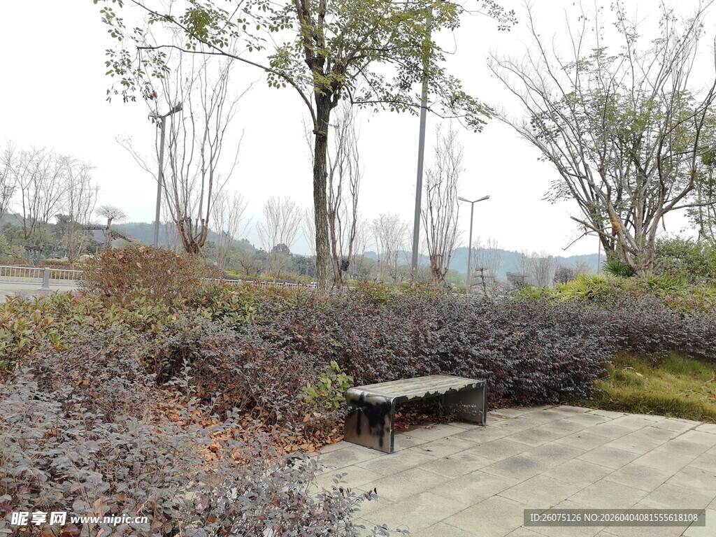 户外静谧长椅景观