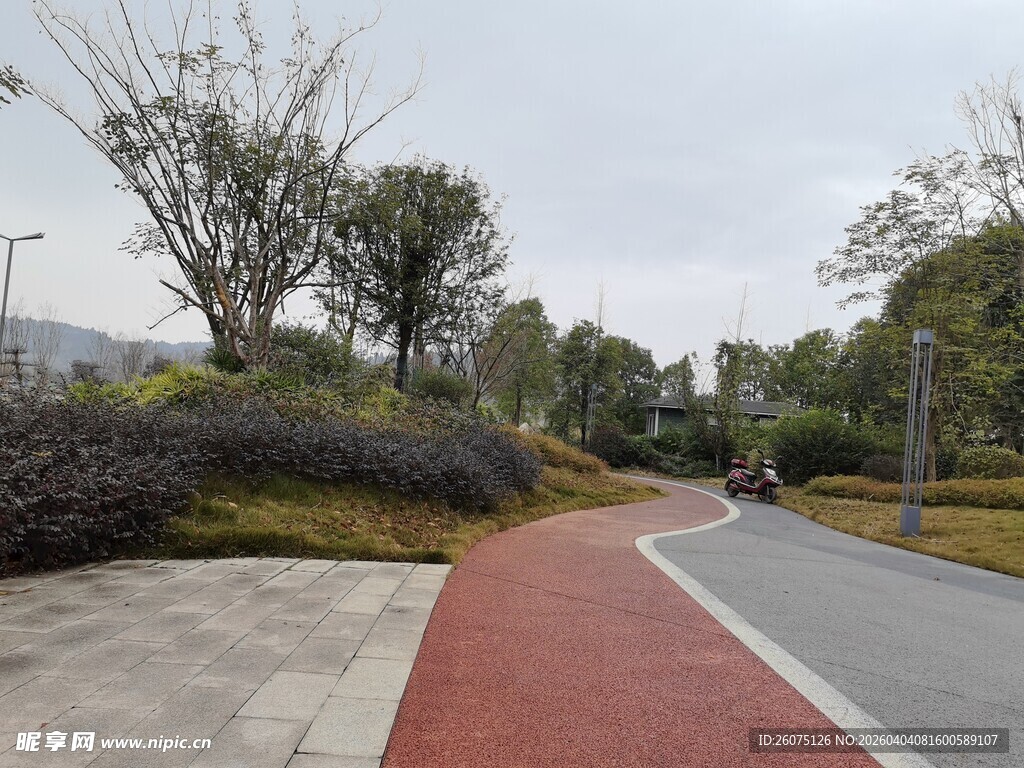 城市中色彩鲜明的步道